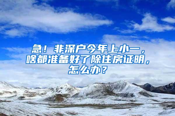 急！非深户今年上小一，啥都准备好了除住房证明，怎么办？