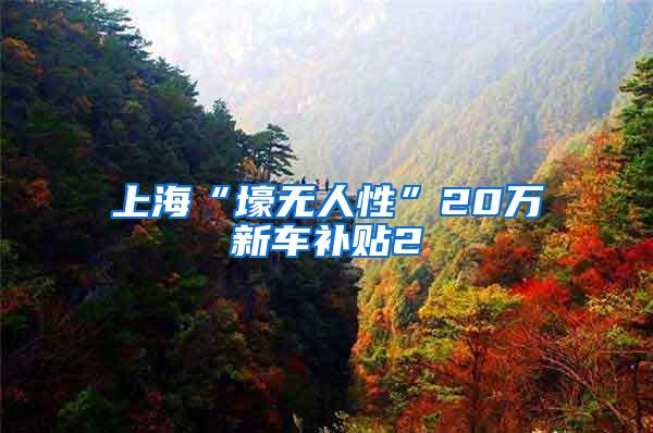 上海“壕无人性”20万新车补贴2