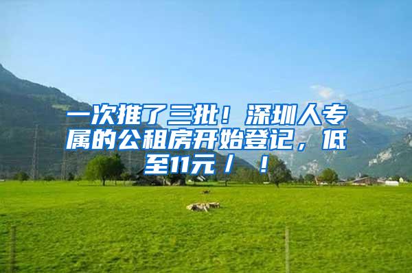 一次推了三批！深圳人专属的公租房开始登记，低至11元／㎡！