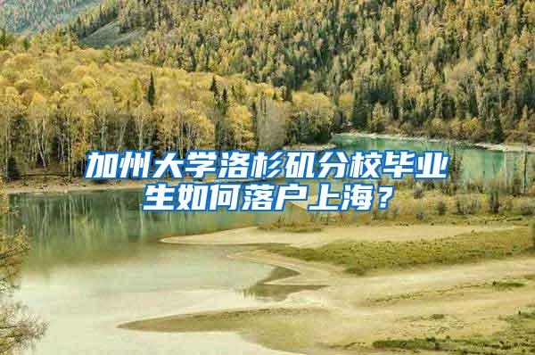 加州大学洛杉矶分校毕业生如何落户上海？
