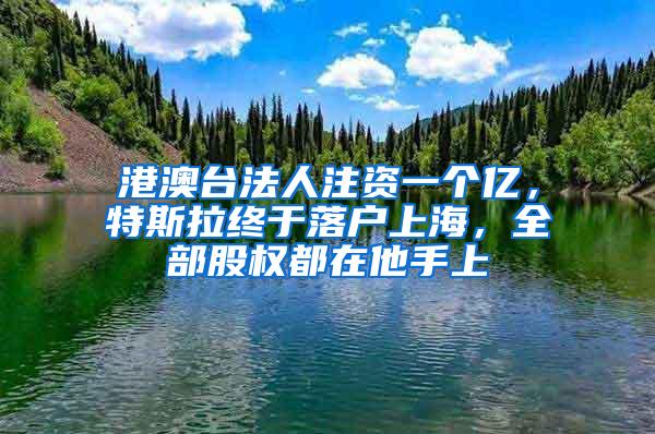 港澳台法人注资一个亿，特斯拉终于落户上海，全部股权都在他手上