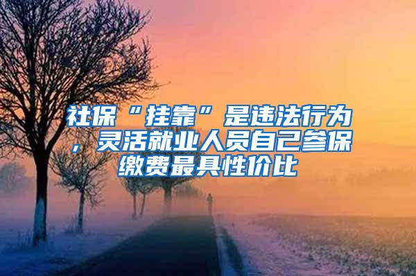 社保“挂靠”是违法行为，灵活就业人员自己参保缴费最具性价比