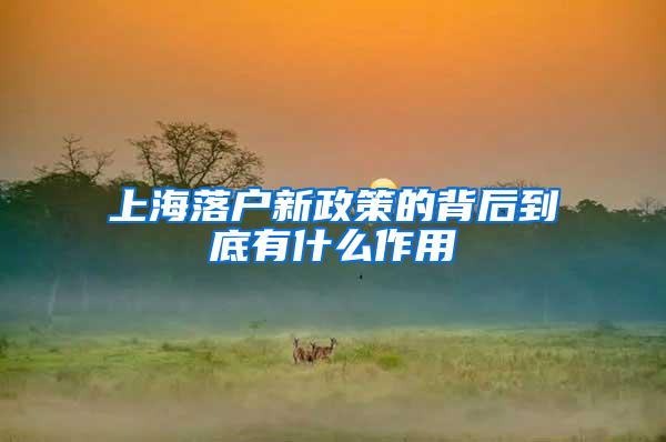 上海落户新政策的背后到底有什么作用