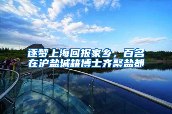 逐梦上海回报家乡，百名在沪盐城籍博士齐聚盐都