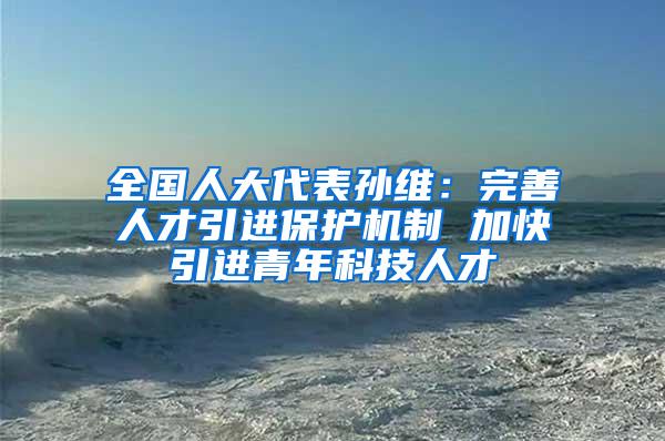 全国人大代表孙维：完善人才引进保护机制 加快引进青年科技人才