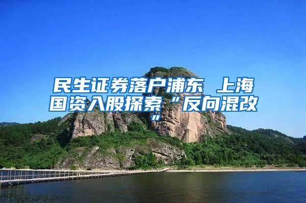 民生证券落户浦东 上海国资入股探索“反向混改”