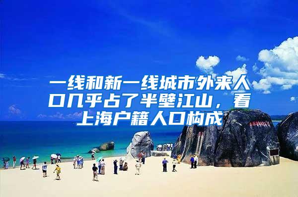 一线和新一线城市外来人口几乎占了半壁江山，看上海户籍人口构成