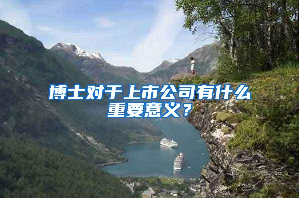 博士对于上市公司有什么重要意义？