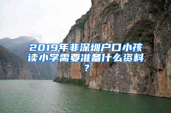 2019年非深圳户口小孩读小学需要准备什么资料？