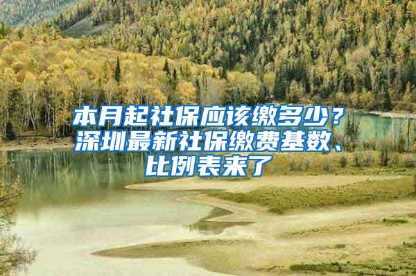 本月起社保应该缴多少？深圳最新社保缴费基数、比例表来了