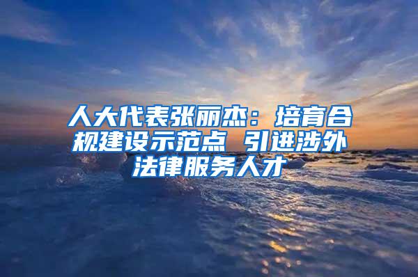 人大代表张丽杰：培育合规建设示范点 引进涉外法律服务人才