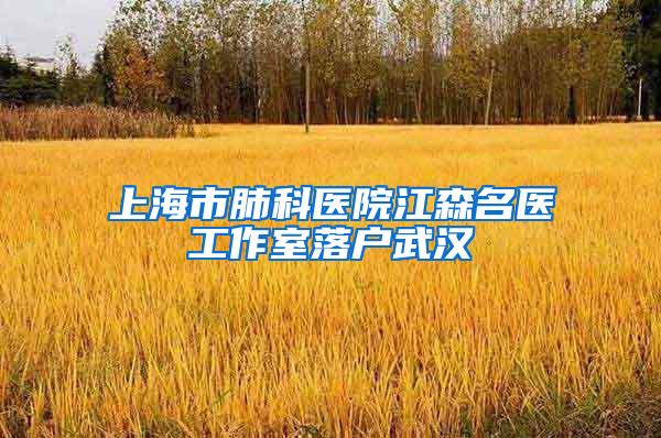 上海市肺科医院江森名医工作室落户武汉