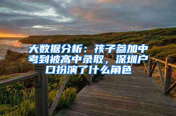 大数据分析：孩子参加中考到被高中录取，深圳户口扮演了什么角色