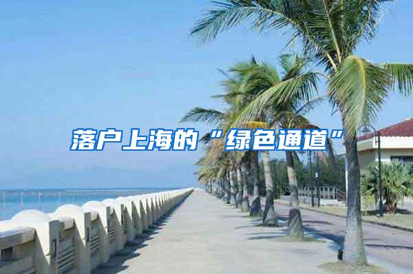 落户上海的“绿色通道”