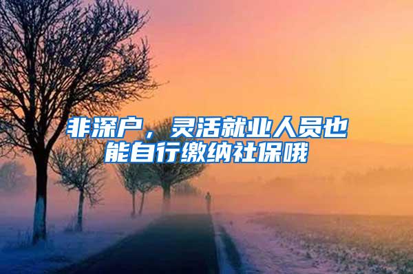 非深户，灵活就业人员也能自行缴纳社保哦