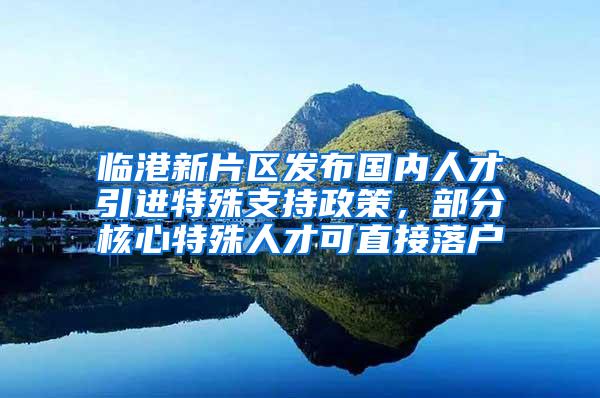 临港新片区发布国内人才引进特殊支持政策，部分核心特殊人才可直接落户