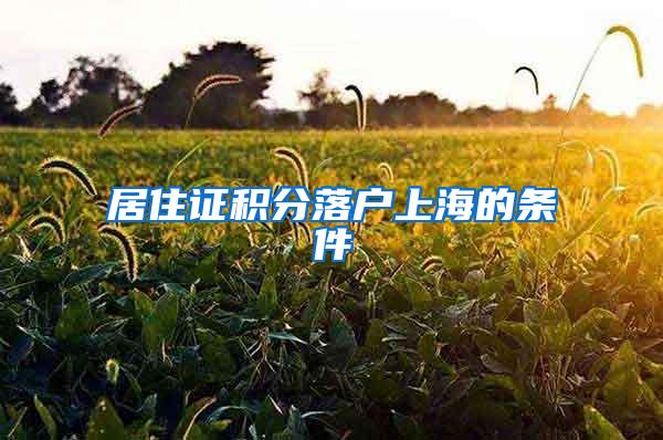 居住证积分落户上海的条件