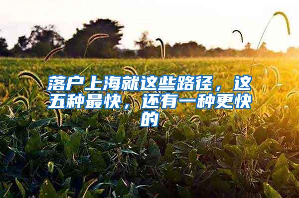 落户上海就这些路径，这五种最快，还有一种更快的