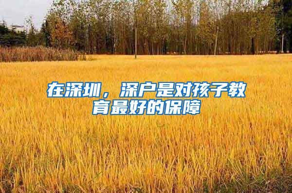 在深圳，深户是对孩子教育最好的保障
