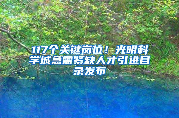 117个关键岗位！光明科学城急需紧缺人才引进目录发布