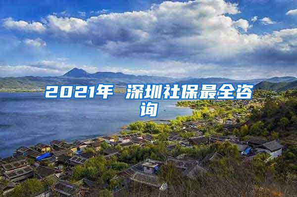 2021年 深圳社保最全咨询
