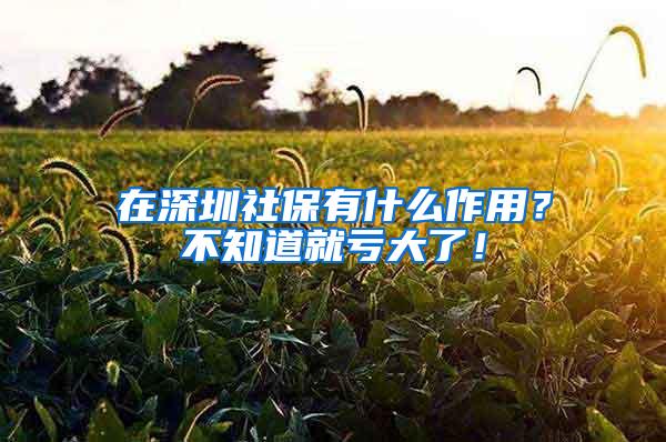 在深圳社保有什么作用？不知道就亏大了！