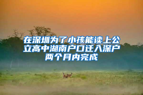 在深圳为了小孩能读上公立高中湖南户口迁入深户两个月内完成