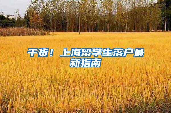 干货！上海留学生落户最新指南