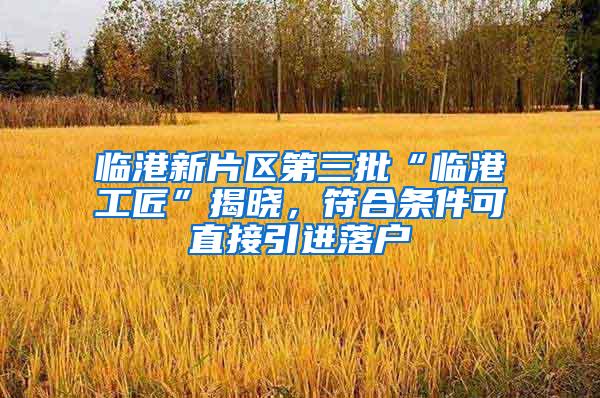 临港新片区第三批“临港工匠”揭晓，符合条件可直接引进落户