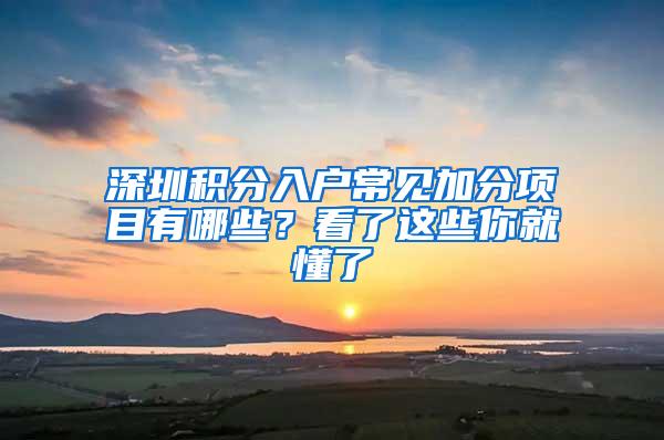深圳积分入户常见加分项目有哪些？看了这些你就懂了