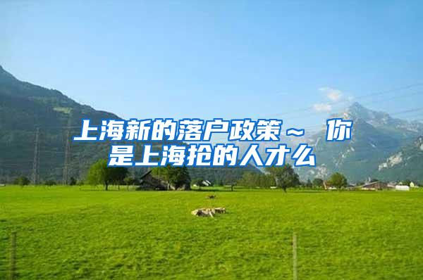 上海新的落户政策～ 你是上海抢的人才么