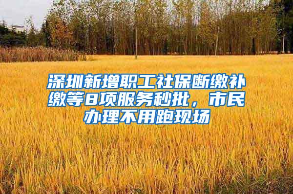 深圳新增职工社保断缴补缴等8项服务秒批，市民办理不用跑现场