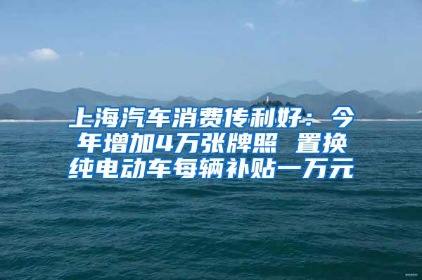 上海汽车消费传利好：今年增加4万张牌照 置换纯电动车每辆补贴一万元