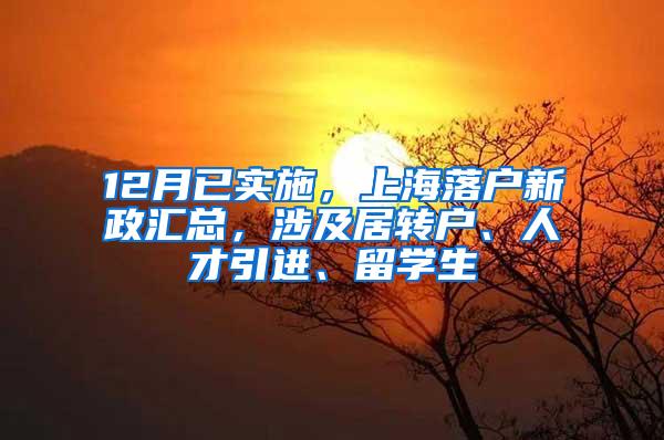 12月已实施，上海落户新政汇总，涉及居转户、人才引进、留学生