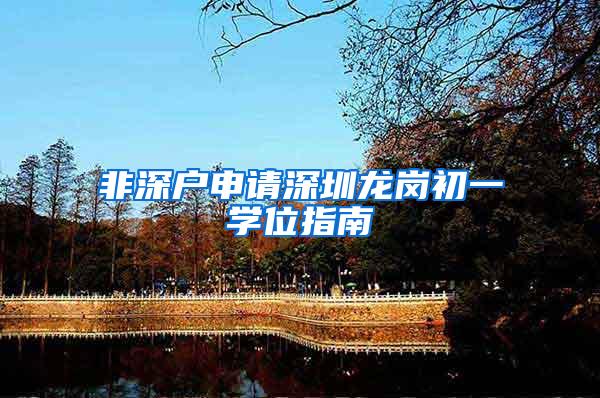 非深户申请深圳龙岗初一学位指南