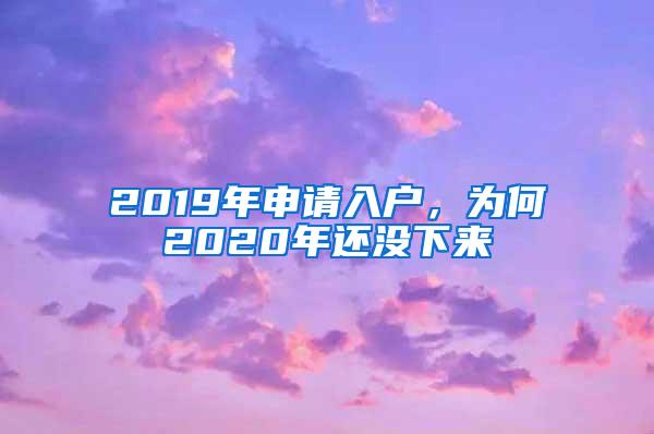2019年申请入户，为何2020年还没下来