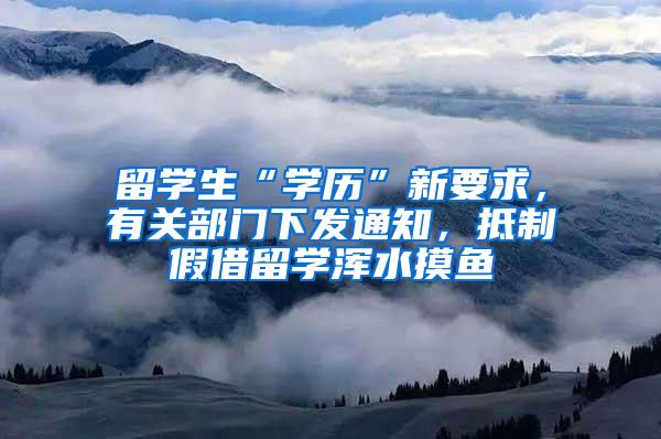 留学生“学历”新要求，有关部门下发通知，抵制假借留学浑水摸鱼