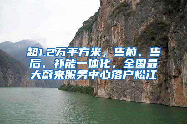 超1.2万平方米，售前、售后、补能一体化，全国最大蔚来服务中心落户松江