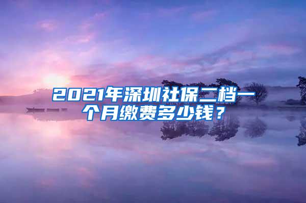 2021年深圳社保二档一个月缴费多少钱？