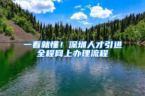一看就懂！深圳人才引进全程网上办理流程