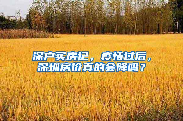 深户买房记，疫情过后，深圳房价真的会降吗？