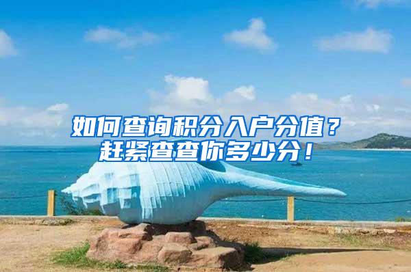 如何查询积分入户分值？赶紧查查你多少分！