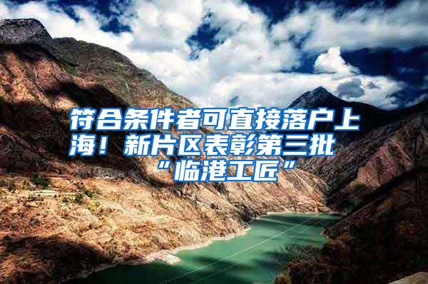 符合条件者可直接落户上海！新片区表彰第三批“临港工匠”