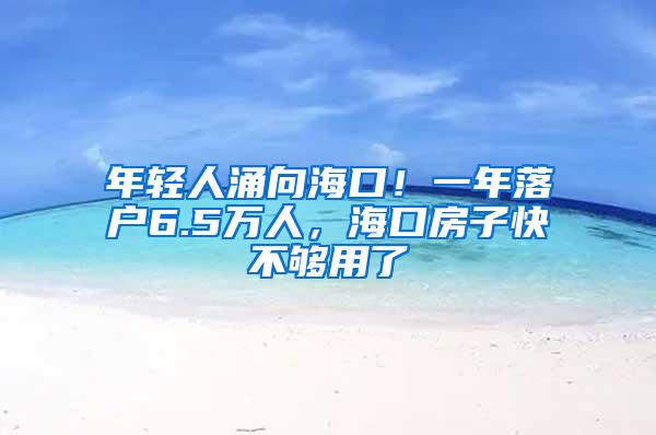 年轻人涌向海口！一年落户6.5万人，海口房子快不够用了