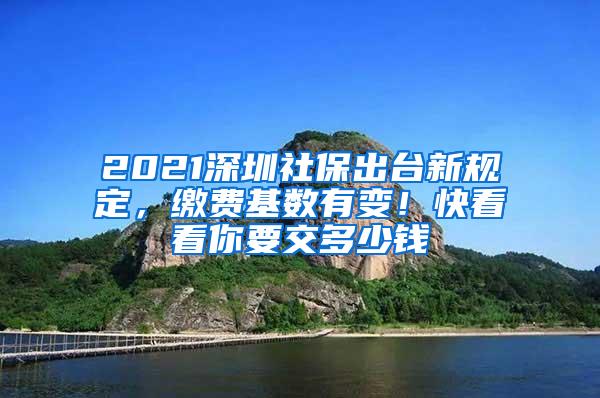 2021深圳社保出台新规定，缴费基数有变！快看看你要交多少钱