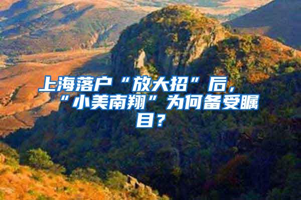 上海落户“放大招”后，“小美南翔”为何备受瞩目？