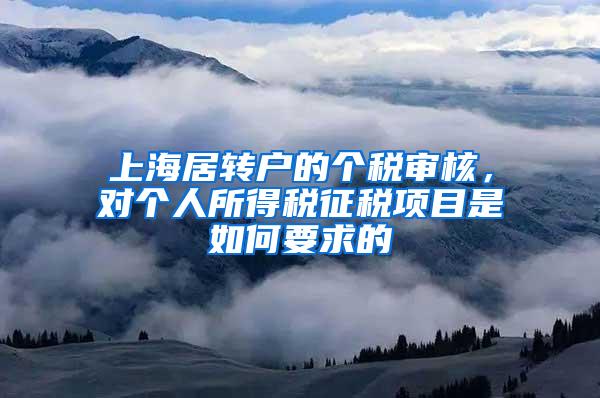 上海居转户的个税审核，对个人所得税征税项目是如何要求的