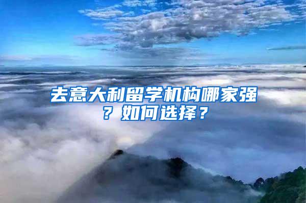 去意大利留学机构哪家强？如何选择？