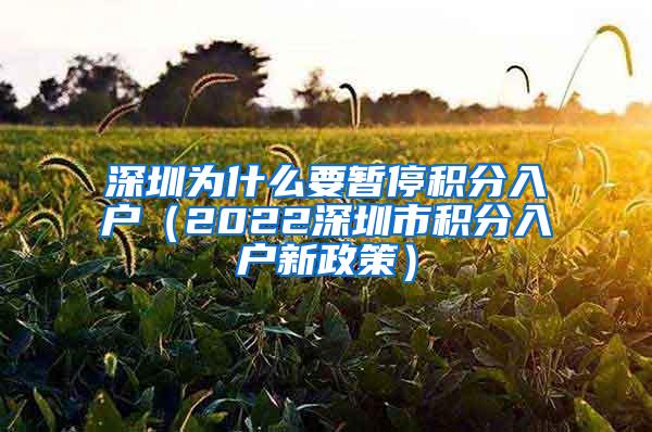 深圳为什么要暂停积分入户（2022深圳市积分入户新政策）