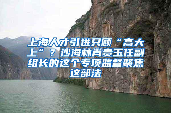 上海人才引进只顾“高大上”？沙海林肖贵玉任副组长的这个专项监督聚焦这部法